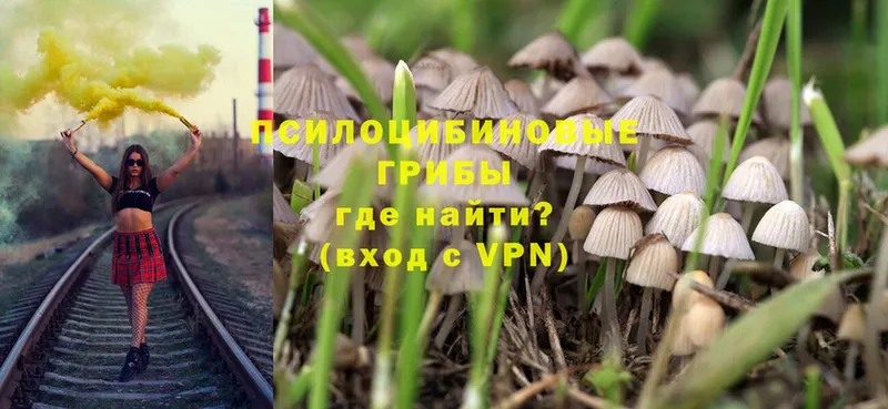 купить  цена  Калач-на-Дону  kraken как зайти  Галлюциногенные грибы Magic Shrooms 